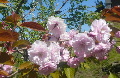 Arriola Txiki - Photo 75