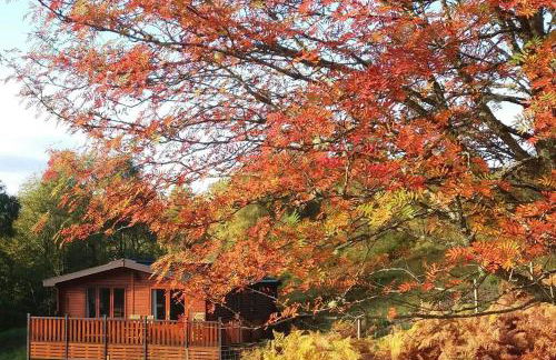 Glas Doire Lodge, Glen Roy Nature Reserve - Foto 1