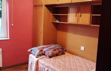 El Caudalin de Mieres - Foto 7