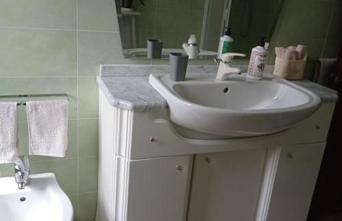 la maison des fleurs - Foto 10