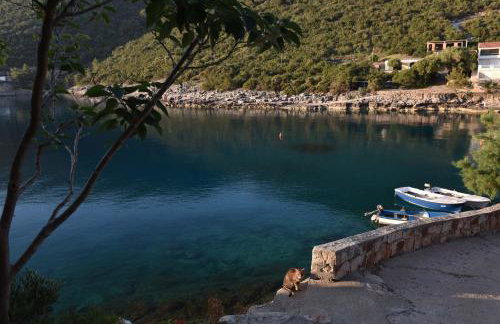 Apartmani Marko - Foto 67