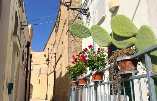 Milleunastella - Photo 18