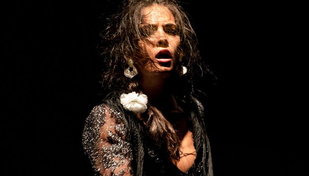 Espectáculo en el Teatro Flamenco - Foto 5, Una bailaora en pleno espectáculo