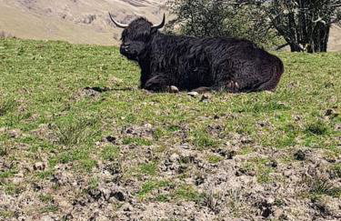 Sunset View Shepherds Hut - Foto 13