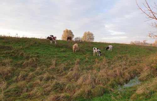 Ferienwohnung Elbkoje - Foto 29