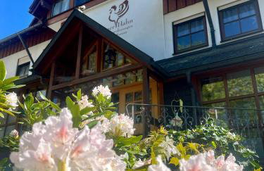 Apart Hotel Goldener Hahn Baiersbronn, Ferienwohnungen | Frühstück, Sauna & Indoorpool - Foto 24