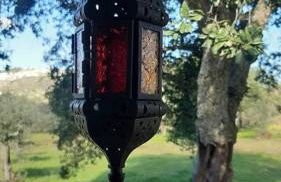 Quinta Terramadome: Dome incomum & responsável - Foto 4