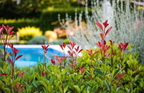 Villa Stepančić - large garden and heated pool - Foto 69