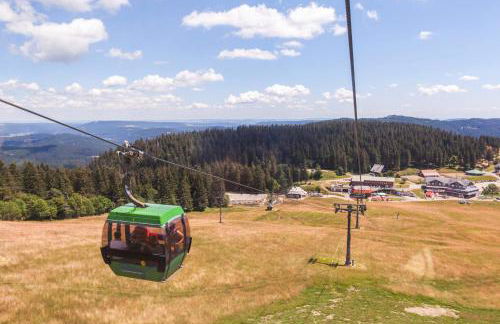 Ferienwohnung Seeblick Nr 3, 2 Zi-Bärental, Feldberg - Foto 18