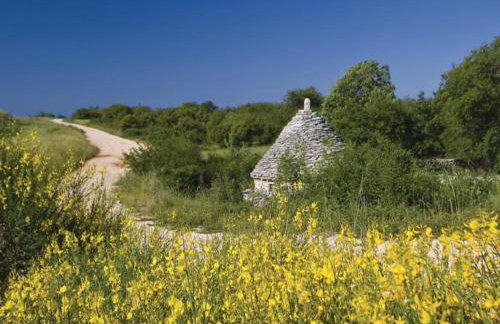 Villa Istra - Four Bedroom Villa with Private Pool - Foto 32