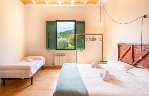 Mas Tortós - Foto 14