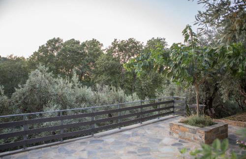 Fofi's House - Foto 24