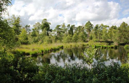 Fachwerk-Treppenspeicher, Ruhe auf dem Land, Haustiere willkommen, Leihfahrräder, 24-7 check in - Foto 54