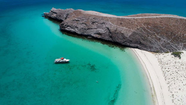 Balandra Beach Day Trip & Swimming with Sea Lions - Foto 5