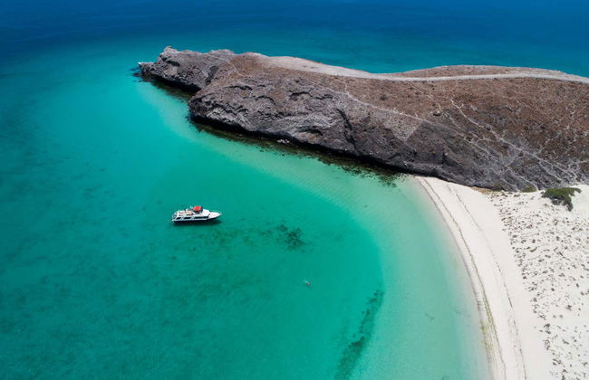 Balandra Beach Day Trip & Swimming with Sea Lions - Photo 5