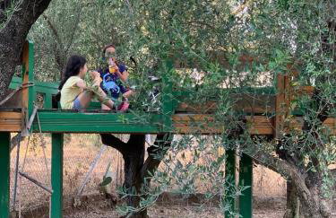 Anastasios Olive Garden Apartments - Foto 12