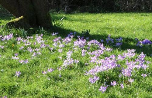 Eden Cottage - Foto 21