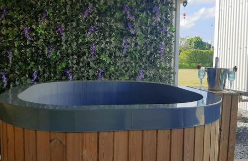 Anglesey new modern shepherds hut with spa hot tub - Foto 10