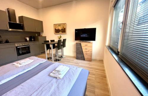 Black Forest Apartament Schlössle Goldstadt Pforzheim Schwarzwald - Foto 14