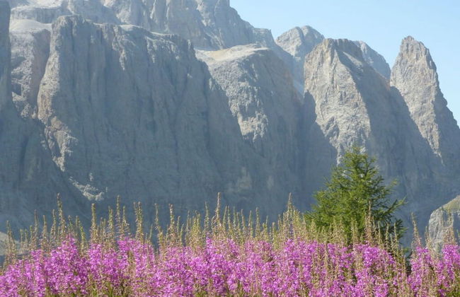 Lovely Apartment in St. Ulrich in Groden - Foto 16