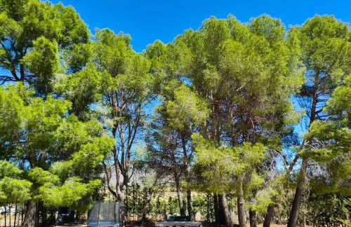 Casa Rural "La villa del pistacho" - Foto 14