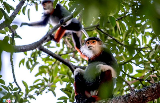 Nanu Garden House Boutique - Foto 47