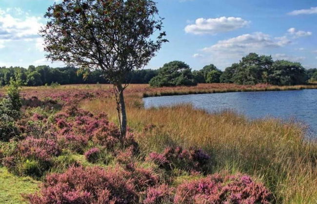 Holiday Home Mantinge Near Nature Reserve - Foto 32