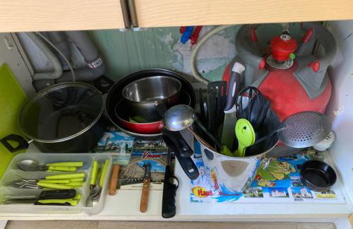 F1 noir/anis, avec terrasse couverte et jardin (E) - Foto 13