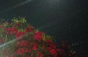 Pousada Casa São Carlos chalé Julyana - Foto 9