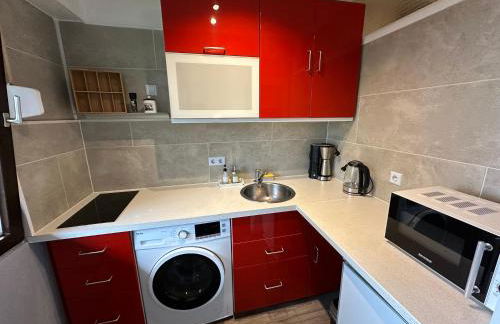 Gaishöll-Wasserfälle Apartment Schwarzwald - Foto 42