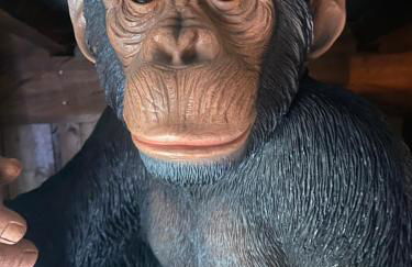 Jungle Cabin - Foto 25