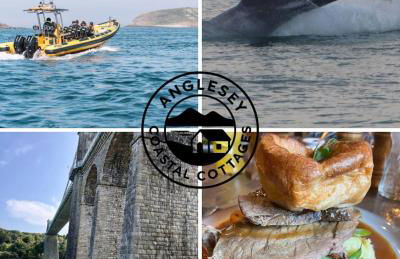 Pauls Place - Foto 31