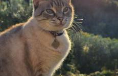 Casa del Contadino Rapale - Foto 41