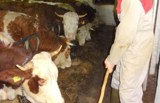 Hofrichter - Photo 37