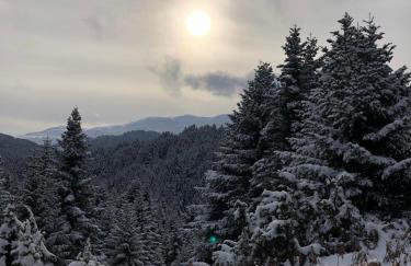 Παραδοσιακή πέτρινη κατοικία στην Βλάχα Ελάτης - Foto 28