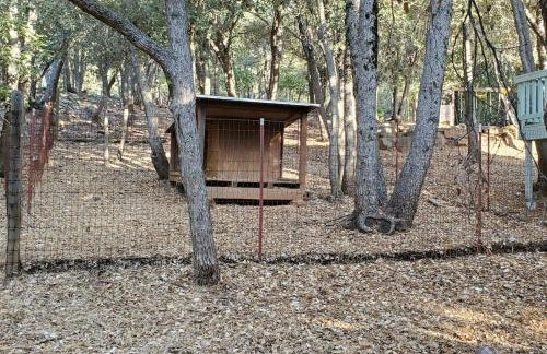 Pine Hills Cabin in Julian - Foto 25