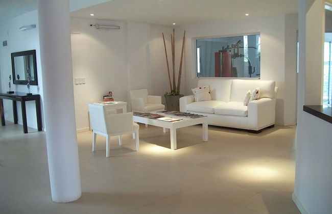 Avutarda de Carilo - Photo 63