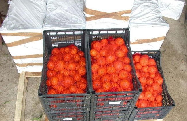 Casavacanze BioMele - Foto 21