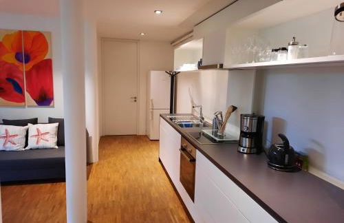 Glashus-Moos Loft 2 - Foto 13