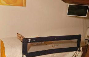 La loggia sulle Apuane - Foto 46