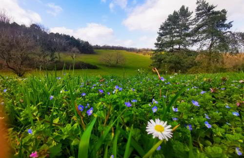 Gîte Les Combes Montignac Lascaux - Foto 29