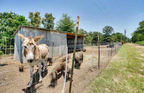 Charming Oklahoma Retreat with Grill - Pets Welcome! - Foto 24