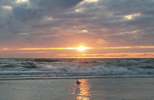 FEWO auf dem Lande / nahe SPO - Foto 147