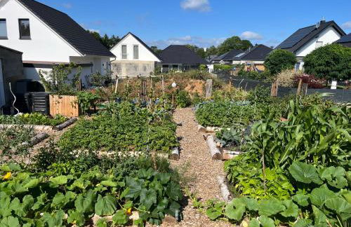 Gemütliches Eifeler Gästehäuschen - Photo 34