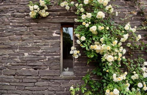 Hot Tub, Stream-Side Garden, Mountain Views, 17thC - Photo 5