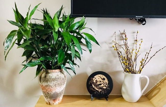 Thousand Islands Lakeview Apartment - Foto 19