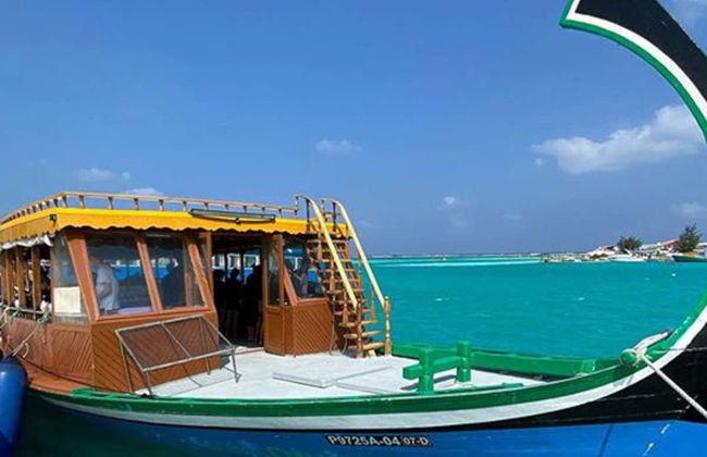 Avvistamento di delfini a Dhiffushi - Foto 2