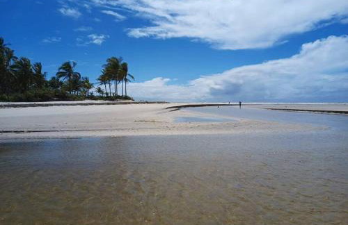 Pérola Rosa 04 - Foto 40