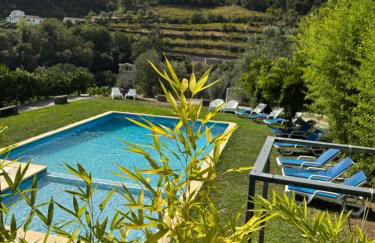 Quinta São José - Museu do Triciclo - Photo 5