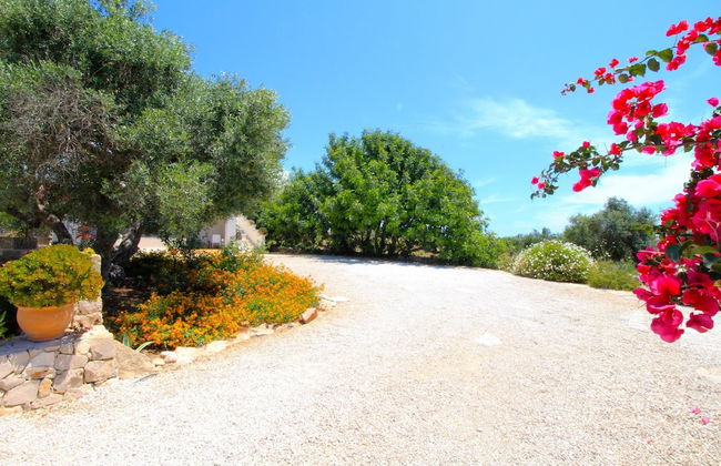 Antico Trullo Lovely House - Foto 21